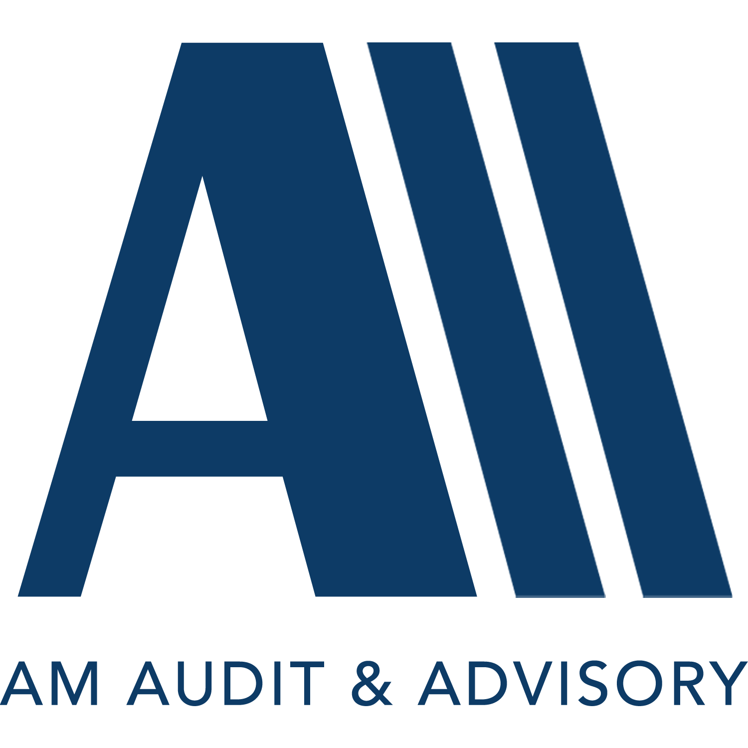 AM Audit & Advisory Logo