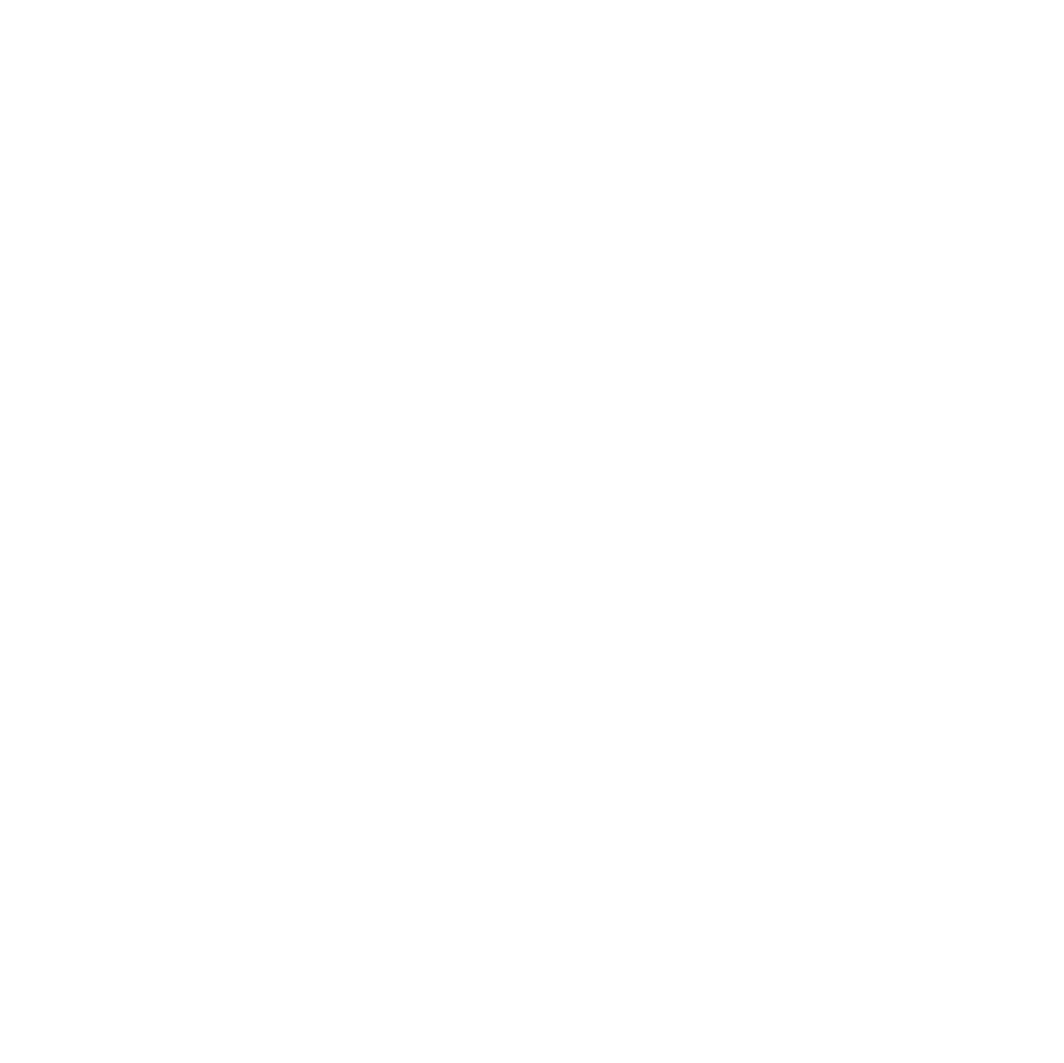 AM Audit & Advisory Logo